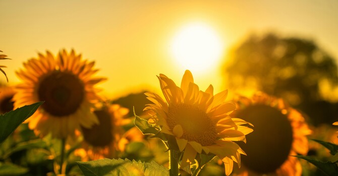 Facing My First Panic Attack image